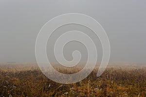 Thick Fog over Field in Indian Summer