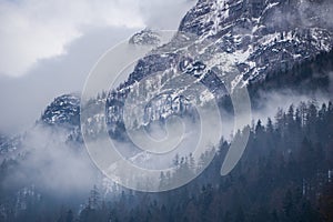 thick fog rolling down the mountain slope and engulfing the dark forest