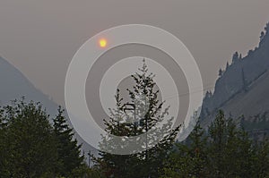 Thick forest fire smoke obscures sun