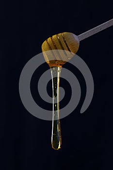 Thick golden honey dripping from a wooden spoon on black background