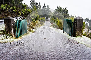 Thick ice and snow at the road to Pico Ruivo, Madeira photo