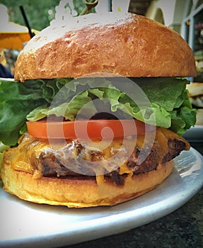 Thick And Juicy Cheeseburger