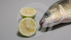 Thick lipped grey mullet fish, freshly caught, with sliced limes