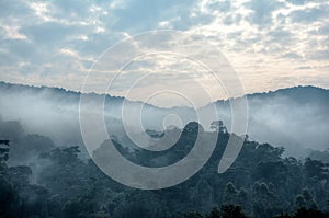 Morning sky and fog in Bwindi Impenetrable National Park photo