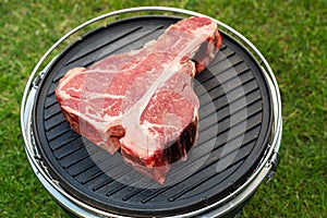 Thick Raw T-Bone Steak with Seasoning and Rosemary