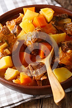 thick stewed estofado with beef and vegetables close-up. vertical photo