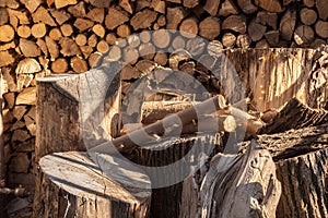 Thick stumps and chocks against the background of woodpile