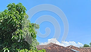 Thick white clouds visible above the blue sky can be seen above the roofs of residents& x27; houses