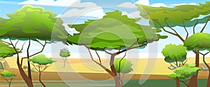 Thickets landscape Africa. Scene with sand and plants. Savannah in desert. African acacia trees. Vector