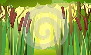 Thickets of reeds in the forest. Swampy wild landscape. Overgrown pond against the background of trees. Illustration