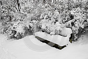 Thickly snow-covered bench, trees, bushes in park photo