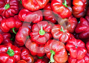 Thickwalled flat red pepper