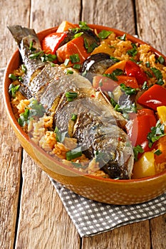 Thieboudienne Fish and Rice The National food of Senegal closeup in the dish. Vertical