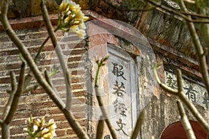 Thiem Mu Pagoda through flowering branches of tree in Hue Vietnam