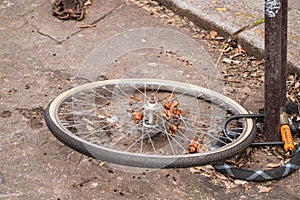 Thieves stole the bike and left only the wheel fastened with a lock