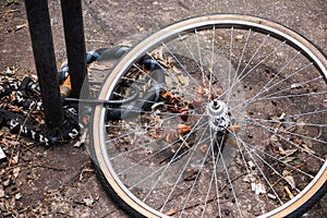 Thieves stole the bike and left only the wheel fastened with a lock