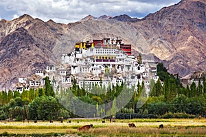 Thiksey gompa, Ladakh, India photo