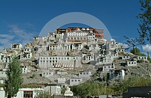 Thiksey Monastery, tree & blue sky in Leh-Ladakh