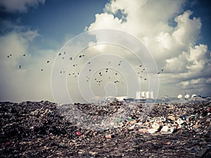 Thilafushi island.Maldives.Garbage dump, plastic mountains