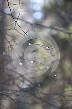 Abstaction from branches in raindrops