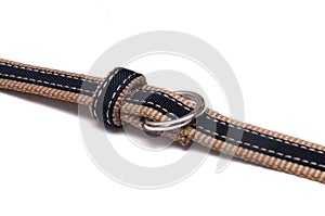 A thin canvas material fabric belt with dark blue inner strap buckle and loop white backdrop