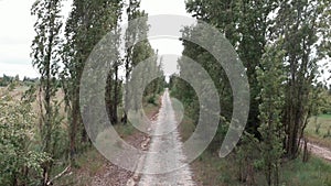 Thin cobblestone path with thick bushes and trees. Countryside landscape with empty cobbled road. Stone paved road