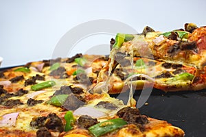 Thin crust wood fired pizza slice photo