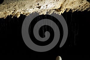 Thin Hollow Stalactites in Langs Cave - Borneo photo