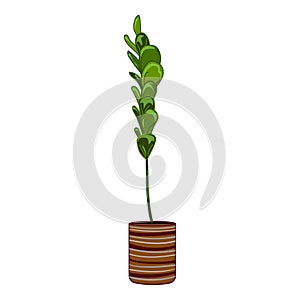Thin houseplant icon cartoon vector. Plant pot container