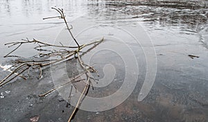 Thin ice on the pond in the spring,