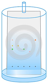 Thin layer chromatography (TLC)