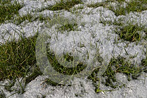 A thin layer of snow covers the green grass. The first snow.