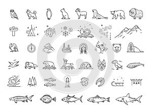 Thin line Arctic icons set, North Pole outline logos vector illustration. Arctic animals