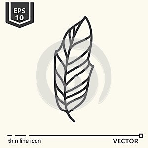 Thin line icon series - tropical leaf