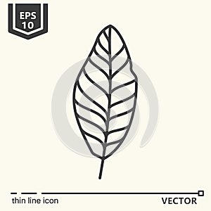 Thin line icon series - tropical leaf