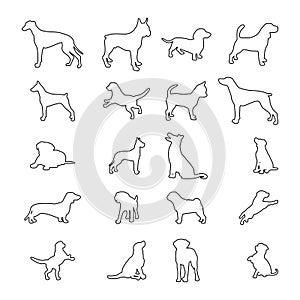 Thin Line Icon Set Dogs