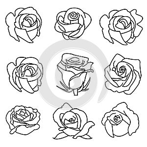 Thin line icons set for rose flower and shadow,vector illustrations