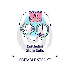 Thin line simple colorful epithelial stem cells icon concept