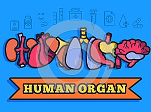 Thin lines style human organs set icons concept. Vector illustration design infographic