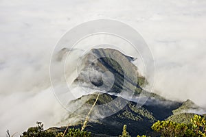 Of the thin mountain track in Brazil