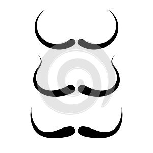 Thin moustaches vector icon photo