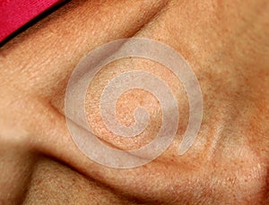 The thin neck and bone of the clavicle.