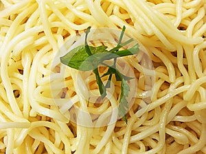 Thin noodles parsley decoration