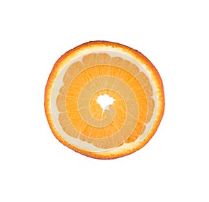 Thin orange fruit slice isolated on a white background. Ctrus round slice. Food background