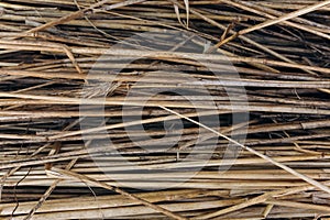 Thin organic sticks lying outdoors. Rustic background from tree branches