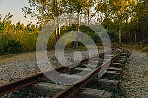 Thin Railway in a forest