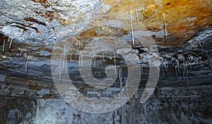 Thin salcite stalactites growing on the ceiling of an old bomb shelter in the Odessa catacombs