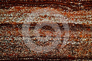 Thin section of iron ore under the microscope