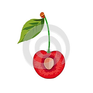 Thin slice of red cherry . Isolated vector sliced berry in flat style. Summer clipart for design