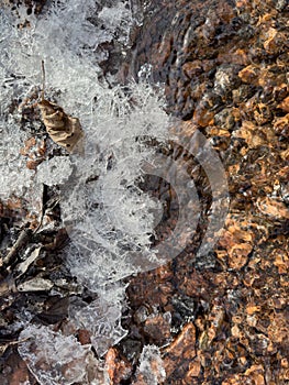 thin transparent ice on a puddle in the park on a spring day, foliage through the ice, dry grass through ice